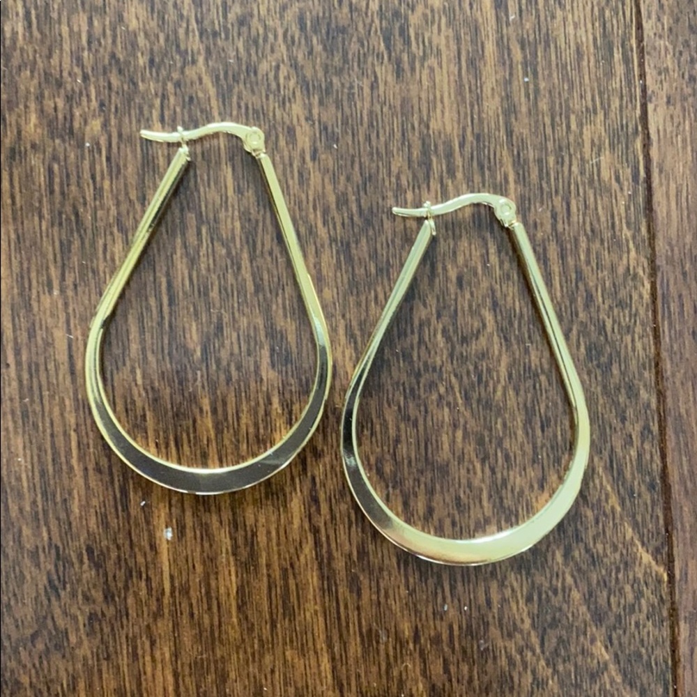 NWOT hoop earrings